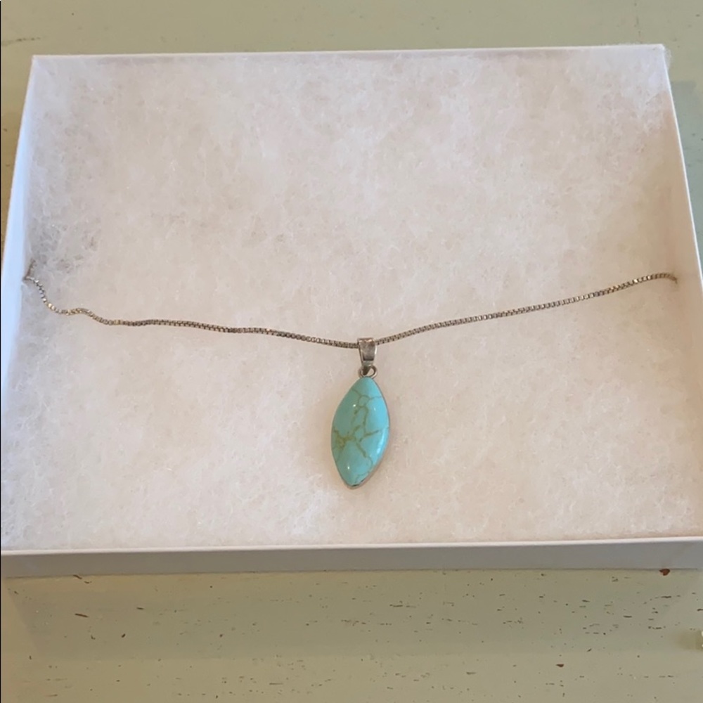 Beautiful Turquoise pendant on  Silver Chain